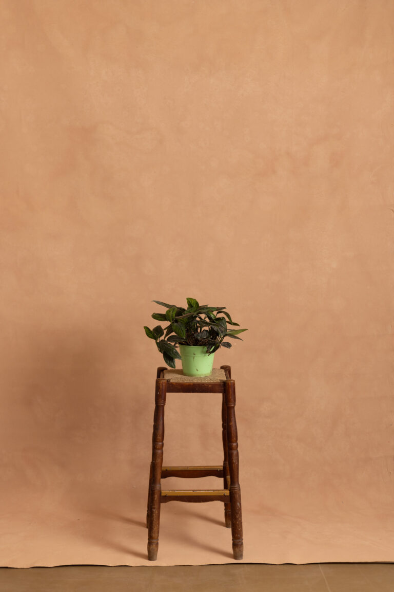 Sand Brown Painted Canvas Backdrop (RN#529)