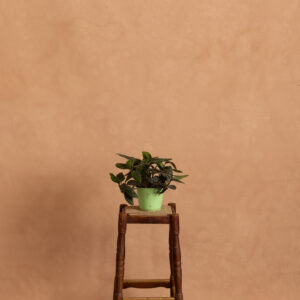 Sand Brown Painted Canvas Backdrop (RN#529)