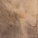 Still Earth Painted Canvas Backdrop (RN#528)