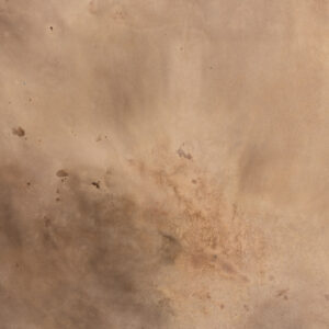 Still Earth Painted Canvas Backdrop (RN#528)