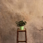 Still Earth Painted Canvas Backdrop (RN#528)