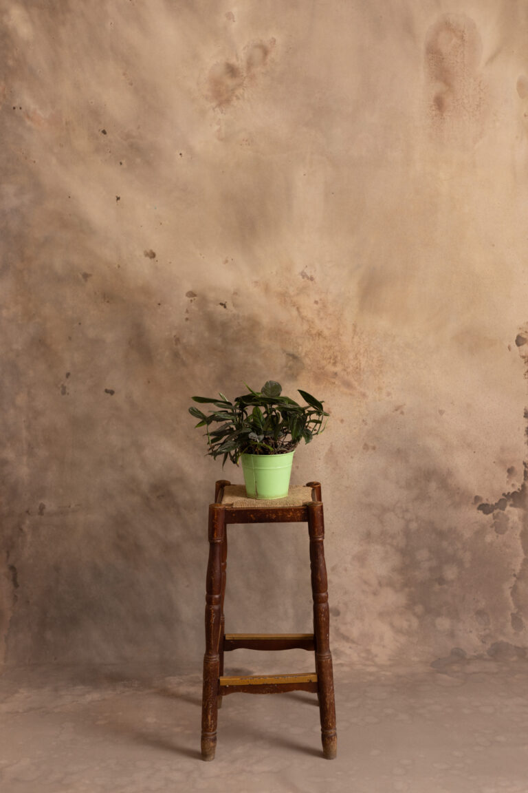 Still Earth Painted Canvas Backdrop (RN#528)