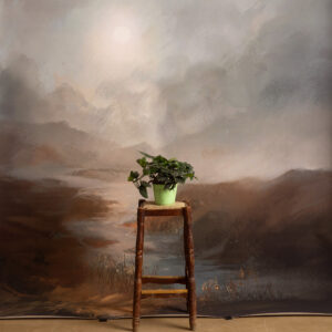 Matterhorn Printed Paper Backdrop (RN#533)