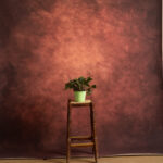 Rose Vale Printed Paper Backdrop (RN#536)