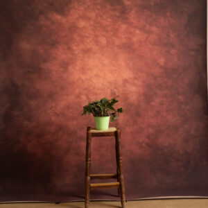 Rose Vale Printed Paper Backdrop (RN#536)