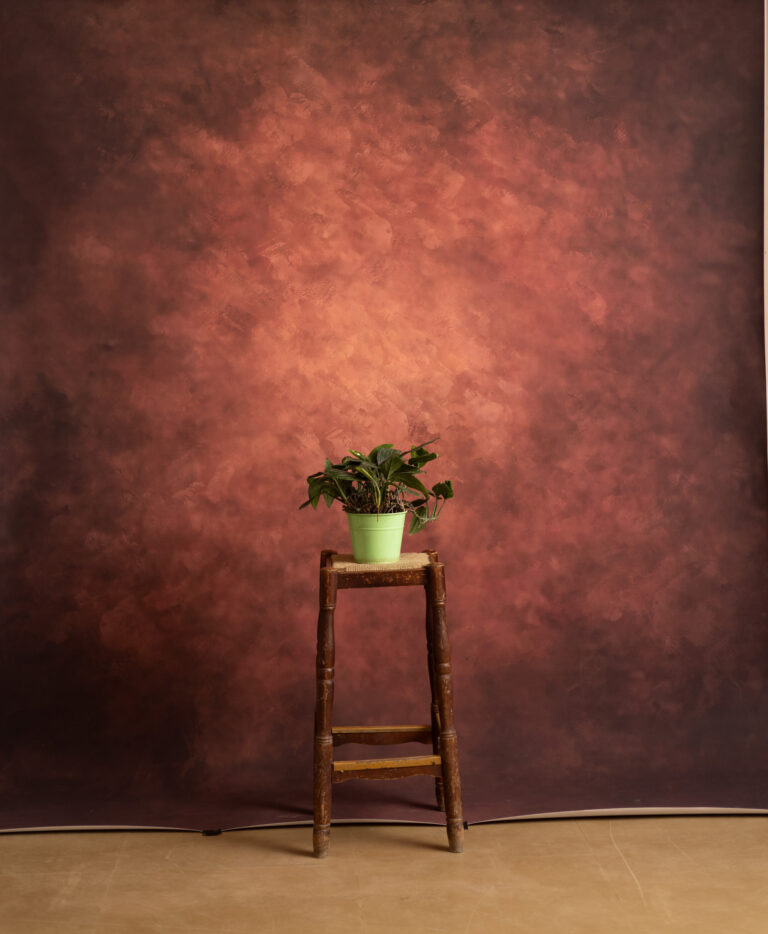 Rose Vale Printed Paper Backdrop (RN#536)