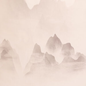 Antique White Printed Paper Backdrop (RN#543)