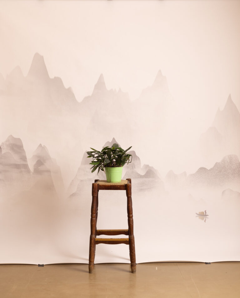 Antique White Printed Paper Backdrop (RN#543)