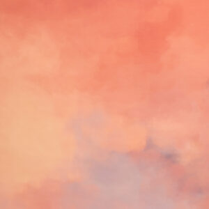 Apriccot Haze Printed Paper Backdrop (RN#537)