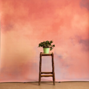 Apriccot Haze Printed Paper Backdrop (RN#537)