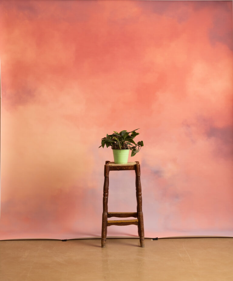 Apriccot Haze Printed Paper Backdrop (RN#537)