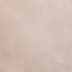 Bronco Printed Paper Backdrop (RN#542)