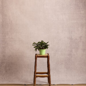 Bronco Printed Paper Backdrop (RN#542)