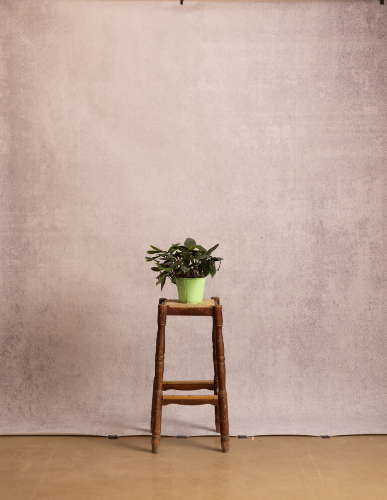 Bronco Printed Paper Backdrop (RN#542)