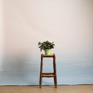 Cloud Wash Painted Paper Backdrop (RN#545)
