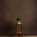 Cork Printed Paper Backdrop (RN#535)