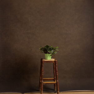 Cork Printed Paper Backdrop (RN#535)