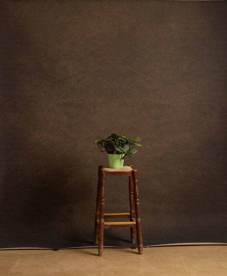 Cork Printed Paper Backdrop (RN#535)