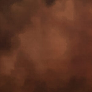 Crater Brown Printed Paper Backdrop (RN#546)