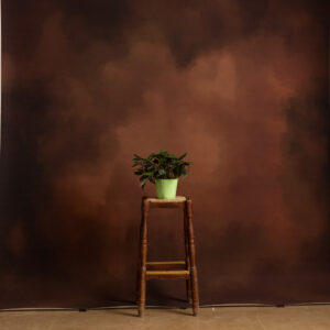 Crater Brown Printed Paper Backdrop (RN#546)