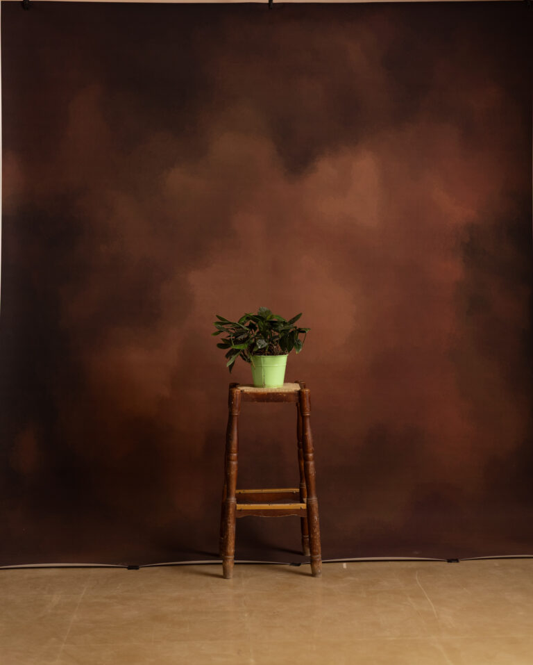 Crater Brown Printed Paper Backdrop (RN#546)
