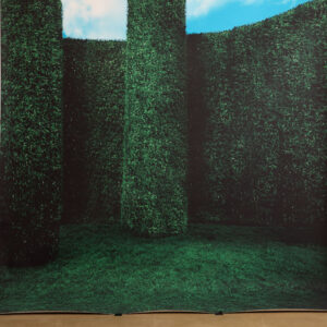 Emerald Estate Printed Paper Backdrop (RN#538)