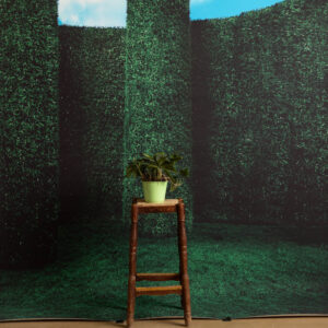 Emerald Estate Printed Paper Backdrop (RN#538)