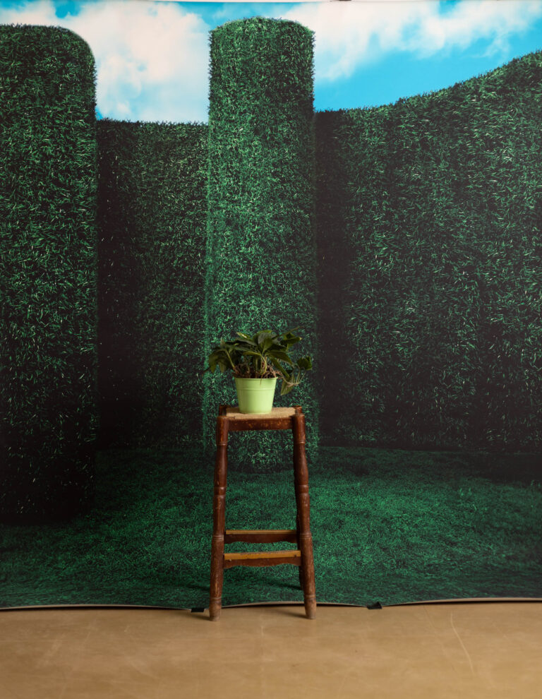 Emerald Estate Printed Paper Backdrop (RN#538)