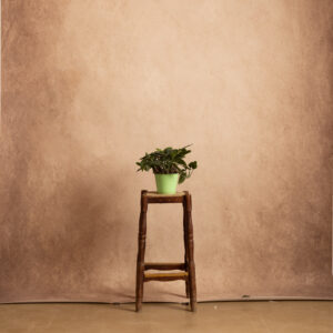 Fawn Printed Paper Backdrop (RN#540)