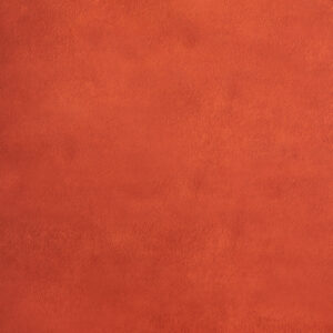 Flame Pea Printed Paper Backdrop (RN#530)