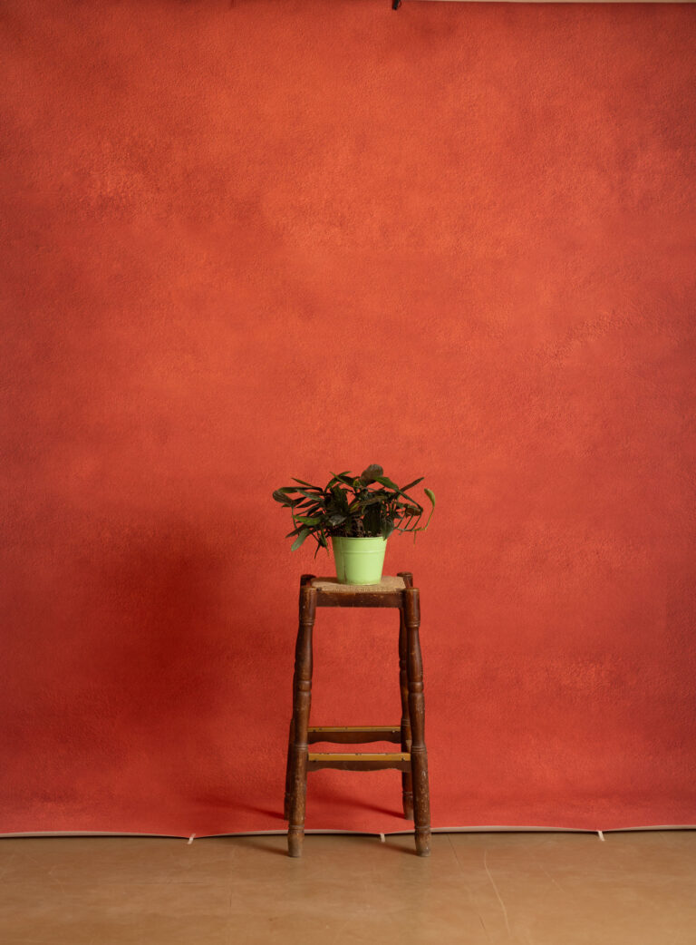 Flame Pea Printed Paper Backdrop (RN#530)