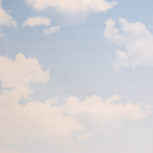 Gainsboro Printed Paper Backdrop (RN#544)