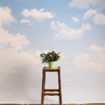 Gainsboro Printed Paper Backdrop (RN#544)