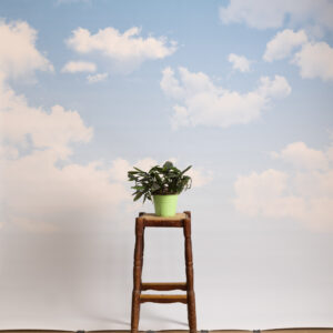 Gainsboro Printed Paper Backdrop (RN#544)