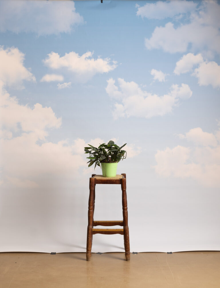 Gainsboro Printed Paper Backdrop (RN#544)