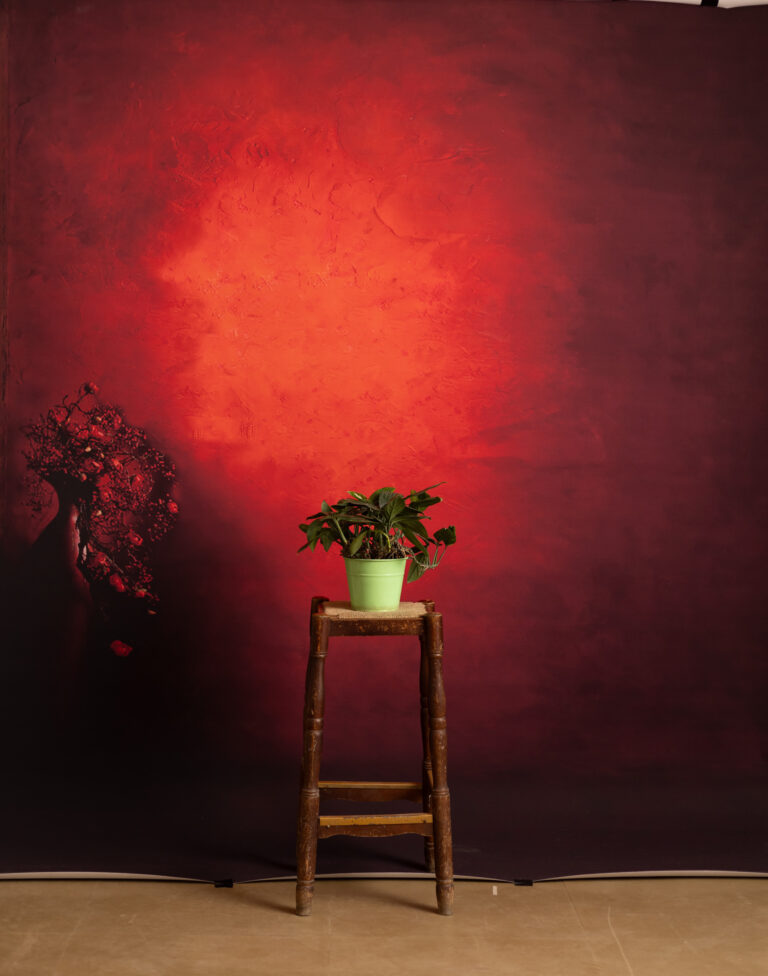 Gondola Printed Paper Backdrop (RN#539)