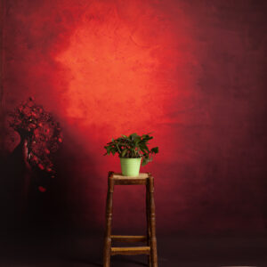 Gondola Printed Paper Backdrop (RN#539)