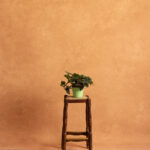 Indian Yellow Printed Paper Backdrop (RN#534)