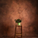 Lotus Printed Paper Backdrop (RN#547) Lotus Printed Paper Backdrop (RN#547)