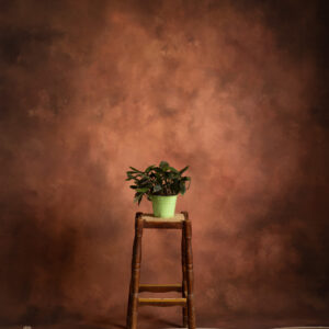 Lotus Printed Paper Backdrop (RN#547) Lotus Printed Paper Backdrop (RN#547)