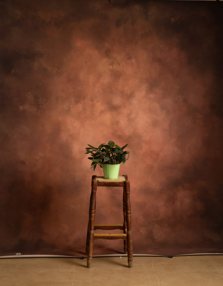 Lotus Printed Paper Backdrop (RN#547) Lotus Printed Paper Backdrop (RN#547)