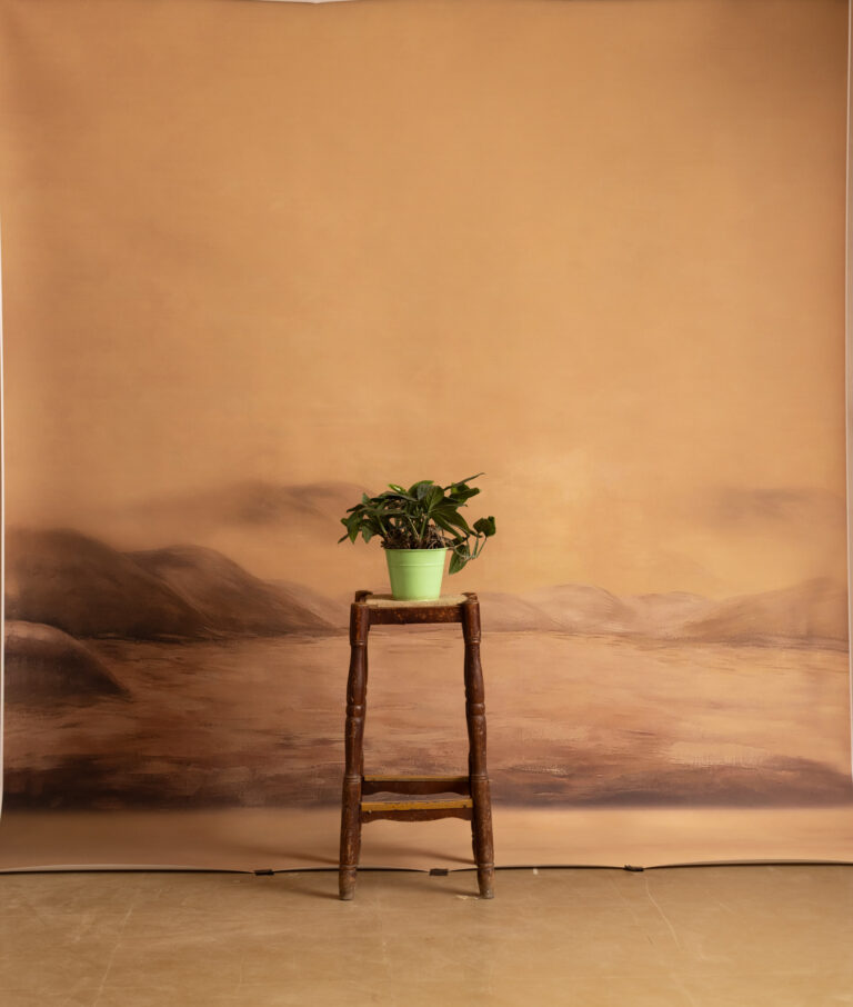 Sahara Haze Printed Paper Backdrop (RN#549)