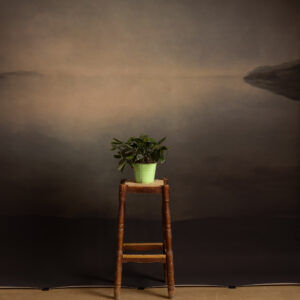 Umber Dusk Printed Paper Backdrop (RN#548)