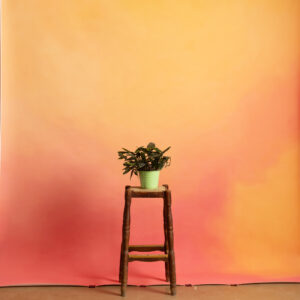 Vivid Tangerine Printed Paper Backdrop (RN#541)