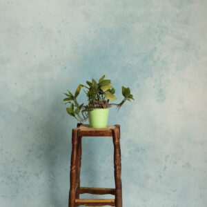 Sable Blue Painted Canvas Backdrop (RN#550)
